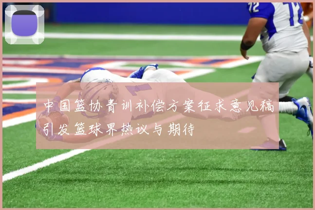 中国篮协青训补偿方案征求意见稿引发篮球界热议与期待